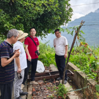 多维发力提质增效 民生产业双向赋能｜2026年9月云阳全域重点工作热点全景